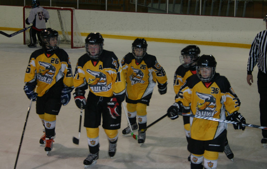 Hockey Scolaire Gaulois Disraeli - Le quotidien des lacs