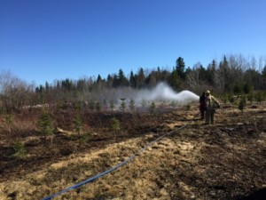 feu-lambton-2